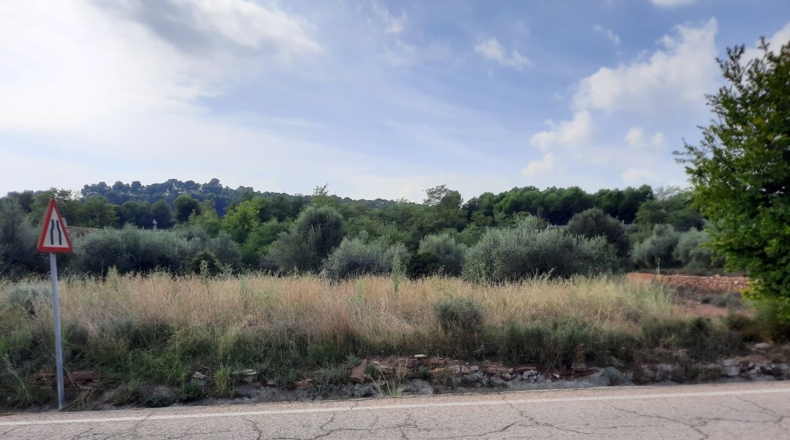 Valencia - Algimia de Alfara - 4136m2
