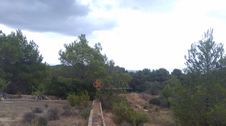 Castellón - Segorbe - 12315m2