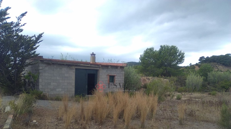 Castellón - Segorbe - 12315m2