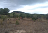 Finca rústica en venta en Segorbe ref: TR37505 foto