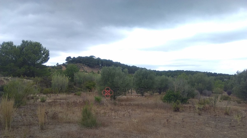 Castellón - Segorbe - 12315m2
