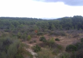 Finca rústica en venta en Segorbe ref: TR37505 foto