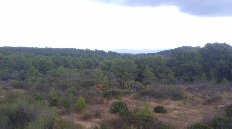 Castellón - Segorbe - 12315m2