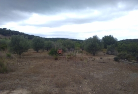 Segorbe 12315&nbsp;м²