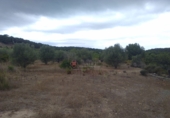 Finca rústica en venta en Segorbe ref: TR37505 foto
