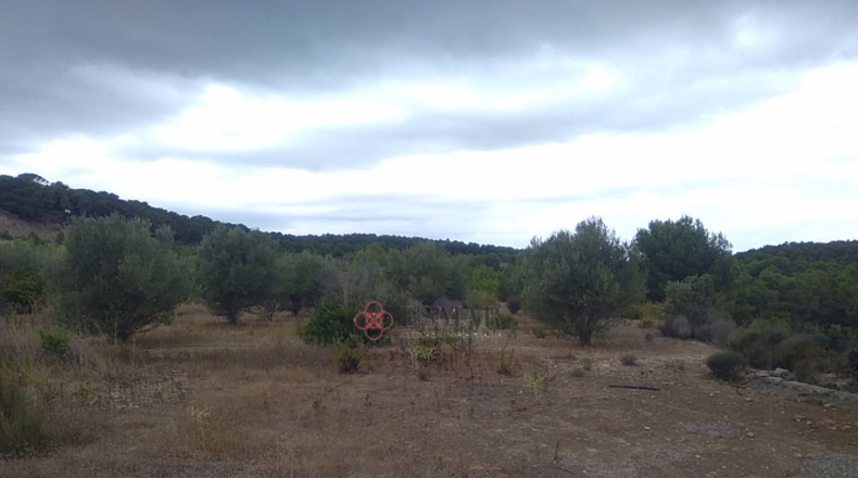 Castellón - Segorbe - 12315m2