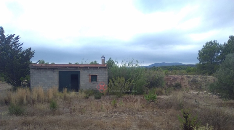 Castellón - Segorbe - 12315m2