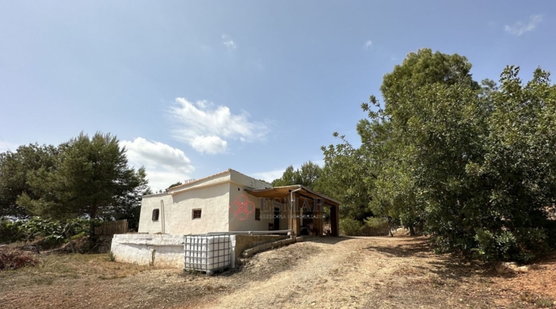Valencia - Algar de Palancia - 2621m2
