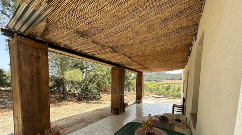 Valencia - Algar de Palancia - 2621m2