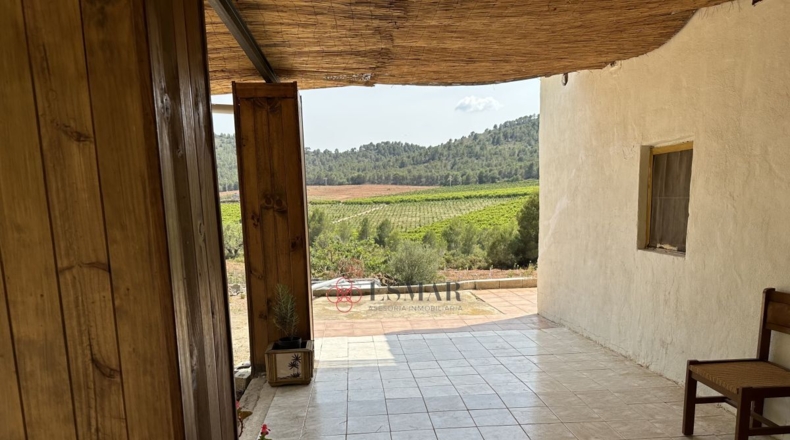Valencia - Algar de Palancia - 2621m2