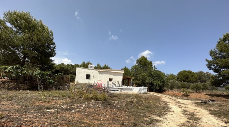 Valencia - Algar de Palancia - 2621m2