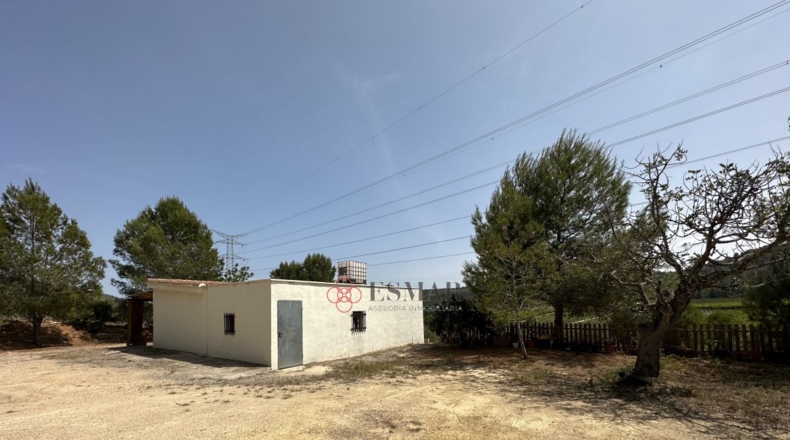 Valencia - Algar de Palancia - 2621m2