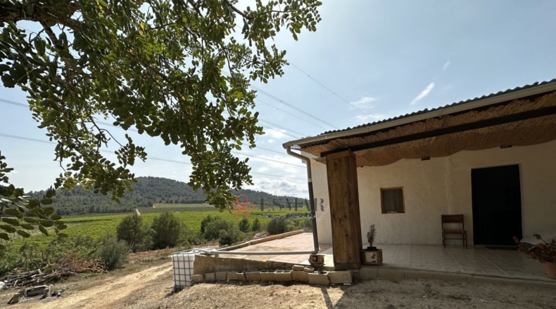 Valencia - Algar de Palancia - 2621m2