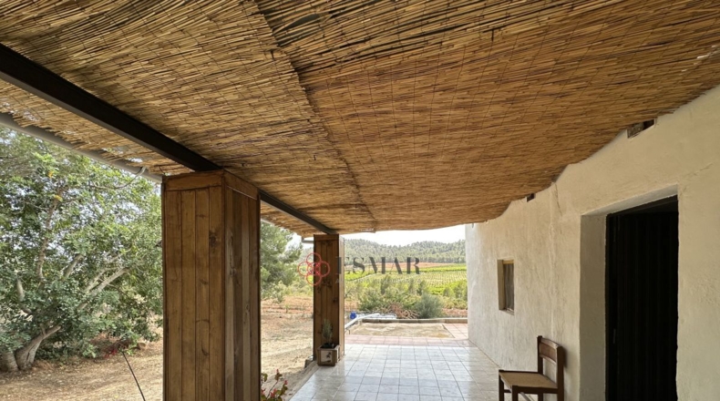 Valencia - Algar de Palancia - 2621m2