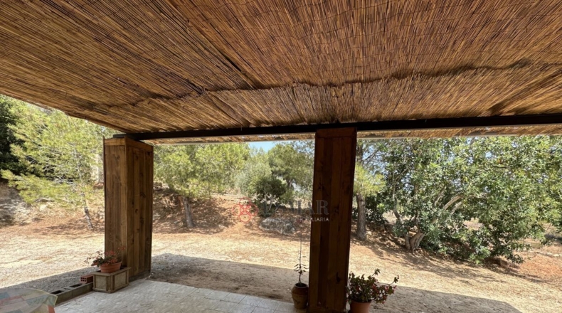 Valencia - Algar de Palancia - 2621m2