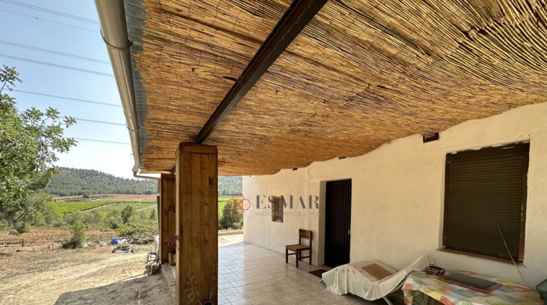 Valencia - Algar de Palancia - 2621m2