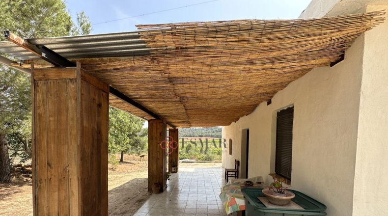Valencia - Algar de Palancia - 2621m2