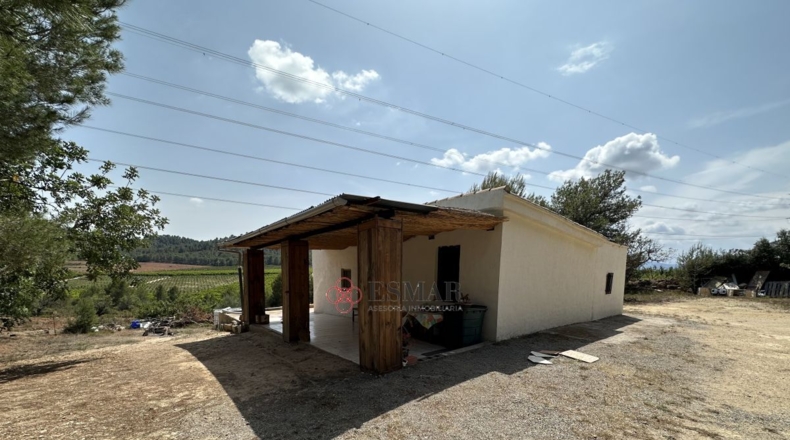 Valencia - Algar de Palancia - 2621m2