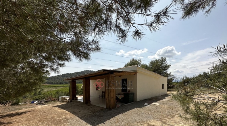 Valencia - Algar de Palancia - 2621m2