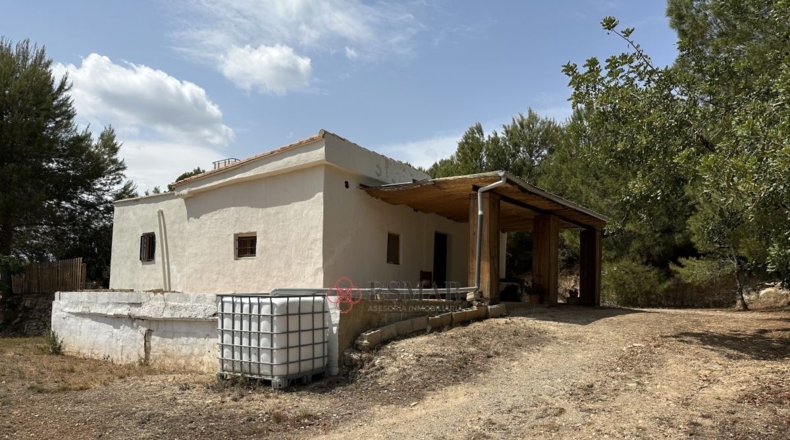 Valencia - Algar de Palancia - 2621m2