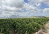 Non-developable land for sale in Sagunto ref: TR87400 photo