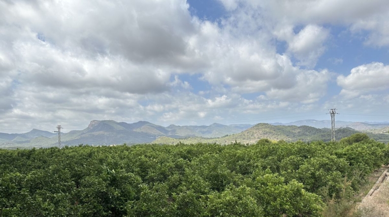 Valencia - Sagunto - 6022m2