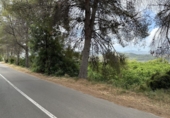 Non-developable land for sale in Sagunto ref: TR87400 photo
