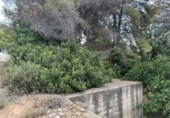 Non-developable land for sale in Sagunto ref: TR87400 photo