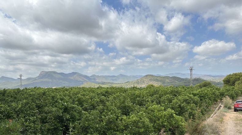 Valencia - Sagunto - 6022m2