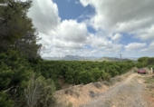 Non-developable land for sale in Sagunto ref: TR87400 photo