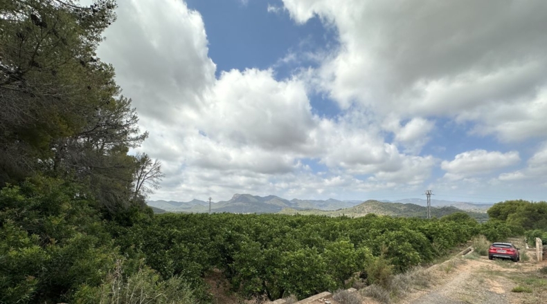 Valencia - Sagunto - 6022m2