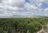 Non-developable land for sale in Sagunto ref: TR87400 photo
