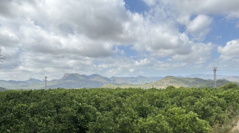 Valencia - Sagunto - 6022m2