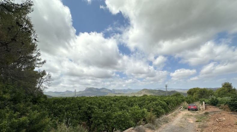 Valencia - Sagunto - 6022m2