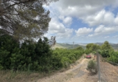 Non-developable land for sale in Sagunto ref: TR87400 photo