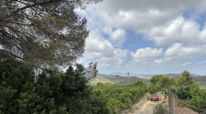 Valencia - Sagunto - 6022m2