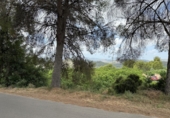 Non-developable land for sale in Sagunto ref: TR87400 photo