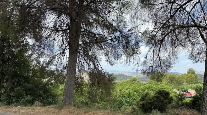 Valencia - Sagunto - 6022m2