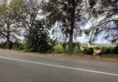 Non-developable land for sale in Sagunto ref: TR87400 photo