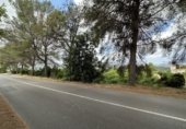 Non-developable land for sale in Sagunto ref: TR87400 photo
