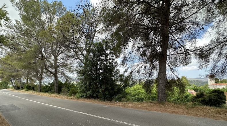 Valencia - Sagunto - 6022m2