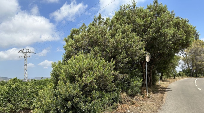 Valencia - Sagunto - 6022m2