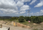 Non-developable land for sale in Sagunto ref: TR87400 photo