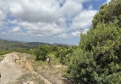 Non-developable land for sale in Sagunto ref: TR87400 photo