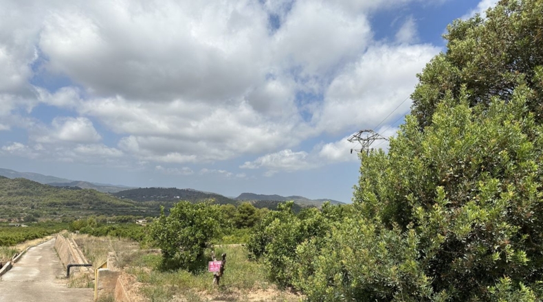 Valencia - Sagunto - 6022m2