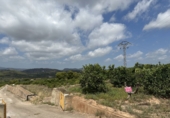 Non-developable land for sale in Sagunto ref: TR87400 photo