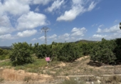 Non-developable land for sale in Sagunto ref: TR87400 photo