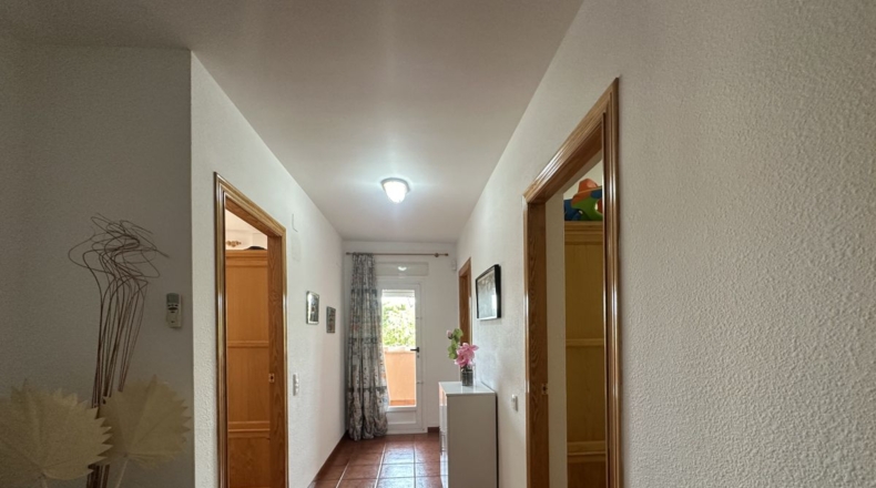 Valencia - Algimia de Alfara - 664m2
