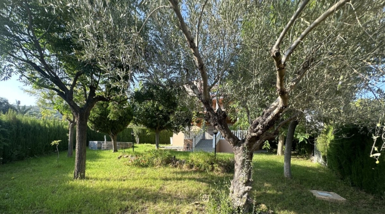 Valencia - Algimia de Alfara - 664m2