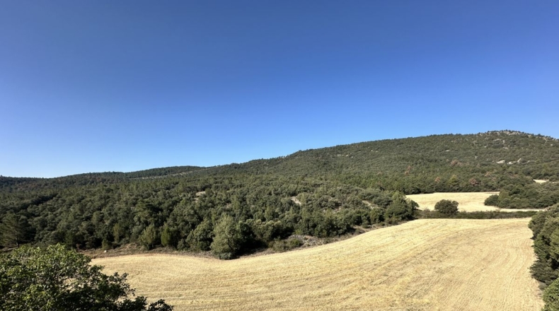 Castellón - El Toro - 850000m2